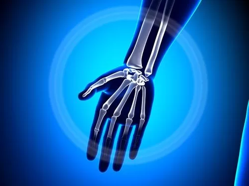 Anatomia della mano